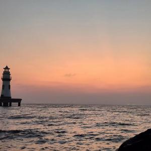 法国大洋马 电影
